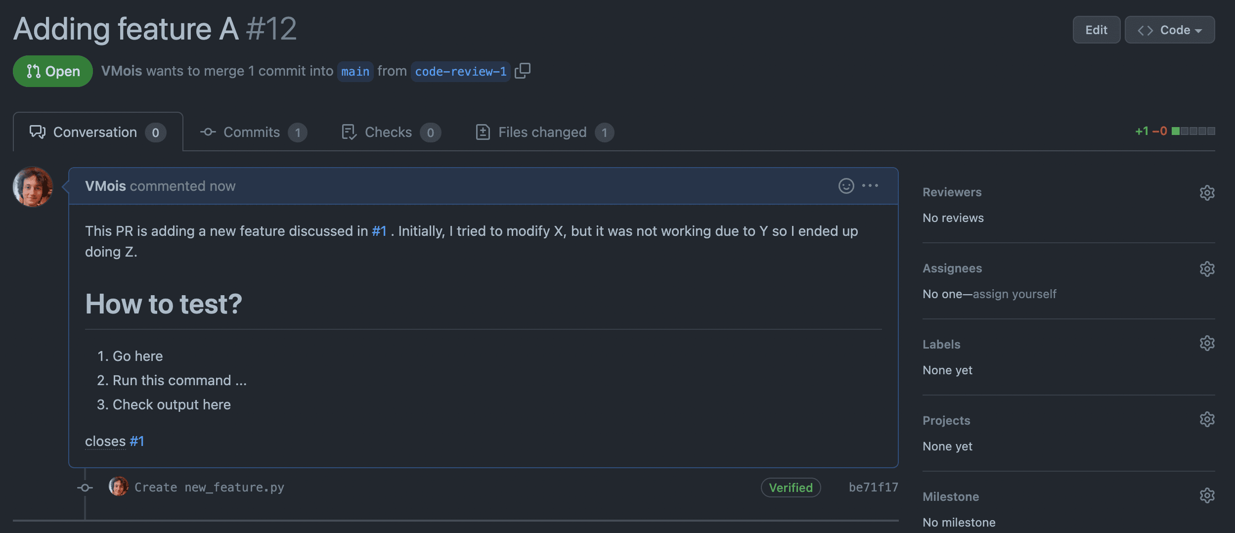 Screenshot of dummy GitHub PR